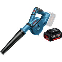 Koop Bosch Professional GBL 18V-120 + Bosch Professional GBA 18V 5